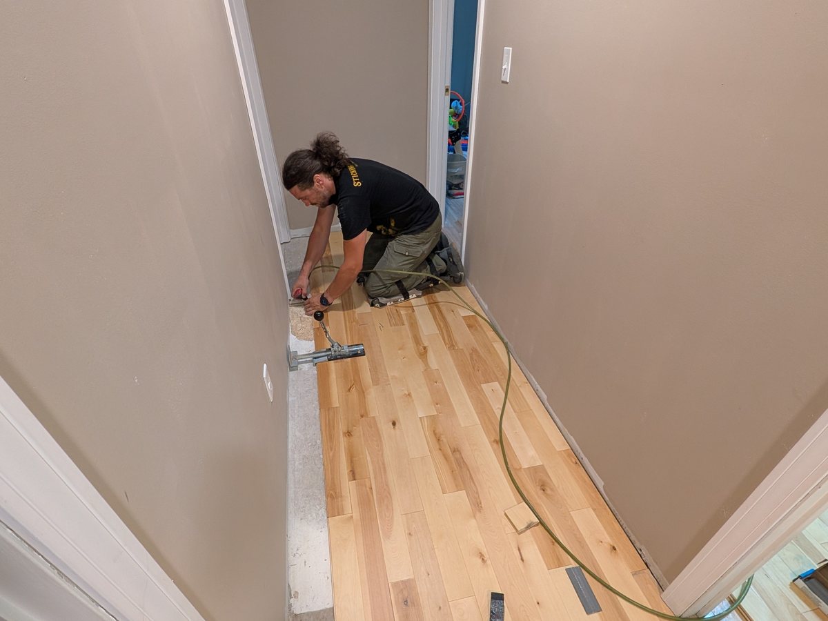 Travis Thiboutot nailing down yellow birch flooring in a hallway